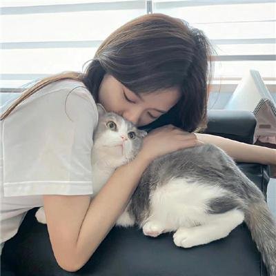 猫之茗