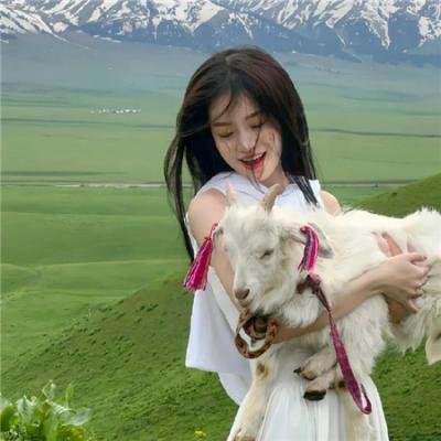小侦探智破非洲犀牛案